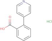 2-(Pyridin-4-yl)benzoic acid hydrochloride