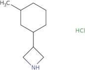 3-(3-Methylcyclohexyl)azetidine hydrochloride