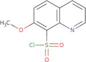 7-Methoxyquinoline-8-sulfonyl chloride