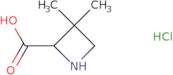 3,3-Dimethylazetidine-2-carboxylic acid hydrochloride