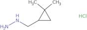 [(2,2-Dimethylcyclopropyl)methyl]hydrazine hydrochloride