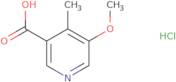 5-Methoxy-4-methylpyridine-3-carboxylic acid hydrochloride