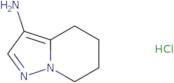 4H,5H,6H,7H-Pyrazolo[1,5-a]pyridin-3-amine hydrochloride