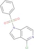 1-(Phenylsulfonyl)-4-chloro-5-azaindole