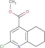 Methyl 2-chloro-5,6,7,8-tetrahydroquinoline-4-carboxylate