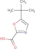 5-tert-Butyl-1,3-oxazole-2-carboxylic acid