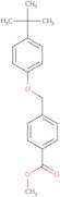 4-(4-tert-Butyl-phenoxymethyl)-benzoic acid methyl ester