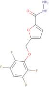 5-[(2,3,5,6-Tetrafluorophenoxy)methyl]furan-2-carbohydrazide