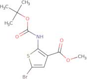 Methyl 5-bromo-2-((tert-butoxycarbonyl)amino)thiophene-3-carboxylate