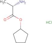 cyclopentyl l-alaninate hcl