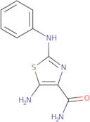 5-Amino-2-Anilino-1,3-Thiazole-4-Carboxamide