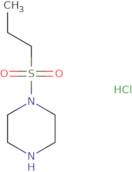 1-(Propane-1-sulfonyl)piperazine hydrochloride