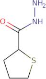 Thiolane-2-carbohydrazide