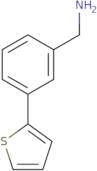 1-[3-(Thiophen-2-yl)phenyl]methanamine