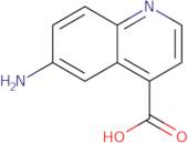 6-Aminoquinoline-4-carboxylic acid