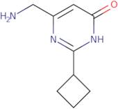 6-(Aminomethyl)-2-cyclobutyl-3,4-dihydropyrimidin-4-one