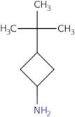 3-tert-Butylcyclobutan-1-amine