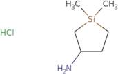 1,1-Dimethylsilolan-3-amine hydrochloride