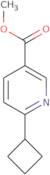 Methyl 6-cyclobutylpyridine-3-carboxylate