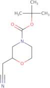 tert-Butyl 2-(cyanomethyl)morpholine-4-carboxylate