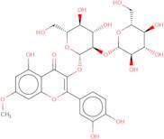 Rhamnetin 3-sophoroside