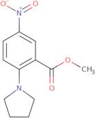 Methyl 5-nitro-2-pyrrolidin-1-ylbenzoate