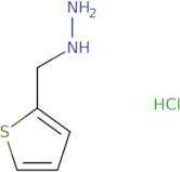 [(Thiophen-2-yl)methyl]hydrazine hydrochloride