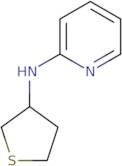 N-(Thiolan-3-yl)pyridin-2-amine