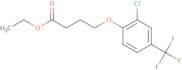 3-tert-Butoxycarbonylamino-3-furan-3-yl-propionic acid