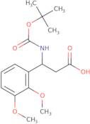 3-tert-Butoxycarbonylamino-3-(2,3-dimethoxy-phenyl)-propionic acid