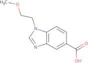 1-(2-Methoxyethyl)-1H-1,3-benzodiazole-5-carboxylic acid