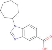 1-Cycloheptyl-1H-benzimidazole-5-carboxylic acid