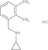 N-(2,3-Dimethylbenzyl)cyclopropylamine hydrochloride