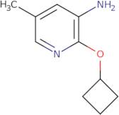 2-Cyclobutoxy-5-methylpyridin-3-amine