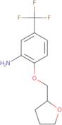 2-(Tetrahydro-furan-2-ylmethoxy)-5-trifluoromethyl-phenylamine