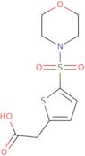 [5-(Morpholine-4-sulfonyl)-thiophen-2-yl]-acetic acid