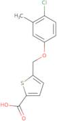 5-(4-Chloro-3-methylphenoxymethyl)thiophene-2-carboxylic acid