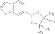 2-(Benzofuran-6-yl)-4,4,5,5-tetramethyl-1,3,2-dioxaborolane