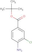 tert-Butyl 4-amino-3-chlorobenzoate