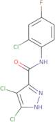 4,5-Dichloro-N-(2-chloro-4-fluorophenyl)-1H-pyrazole-3-carboxamide