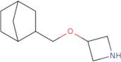 3-(2-Bicyclo[2.2.1]heptanylmethoxy)azetidine