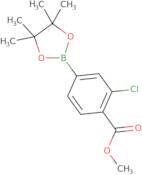 3-Chloro-4-methoxycarbonylphenylboronic acid pinacol ester