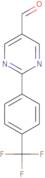 2-(2-Amino-6-methoxyphenyl)acetic acid