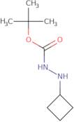 tert-Butyl 2-cyclobutylhydrazinecarboxylate