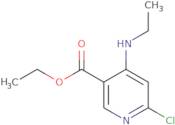 Ethyl 6-chloro-4-(ethylamino)pyridine-3-carboxylate