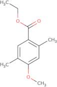 4,5-Dichloro-2-(propan-2-yl)-1H-imidazole