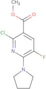 Methyl 2-chloro-5-fluoro-6-pyrrolidin-1-ylnicotinate
