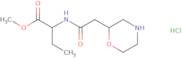 Methyl 2-[2-(morpholin-2-yl)acetamido]butanoate hydrochloride