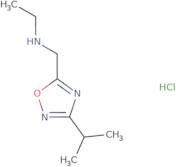 N-[(3-Isopropyl-1,2,4-oxadiazol-5-yl)methyl]ethanamine hydrochloride