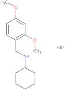 N-(2,4-Dimethoxybenzyl)cyclohexanamine hydrobromide